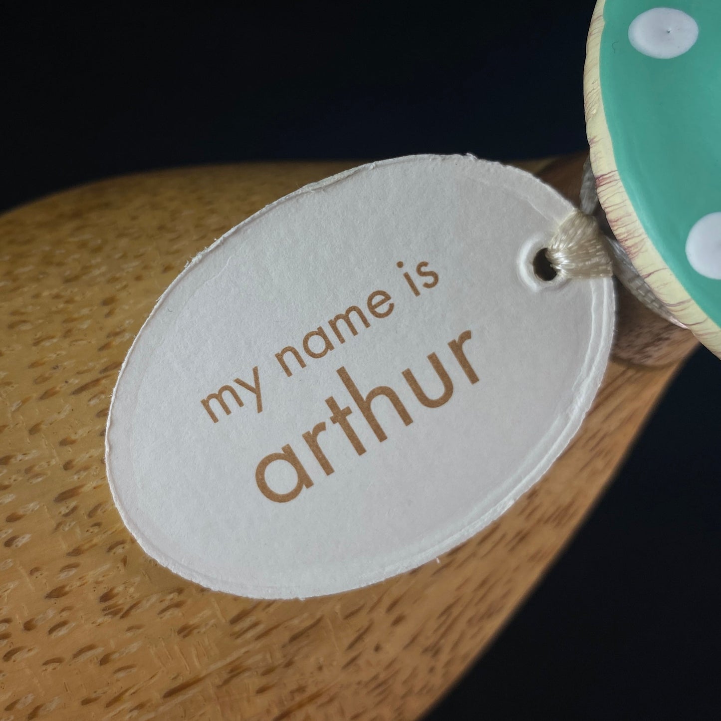 Arthur - Hand-carved and Hand-painted Bamboo Duck