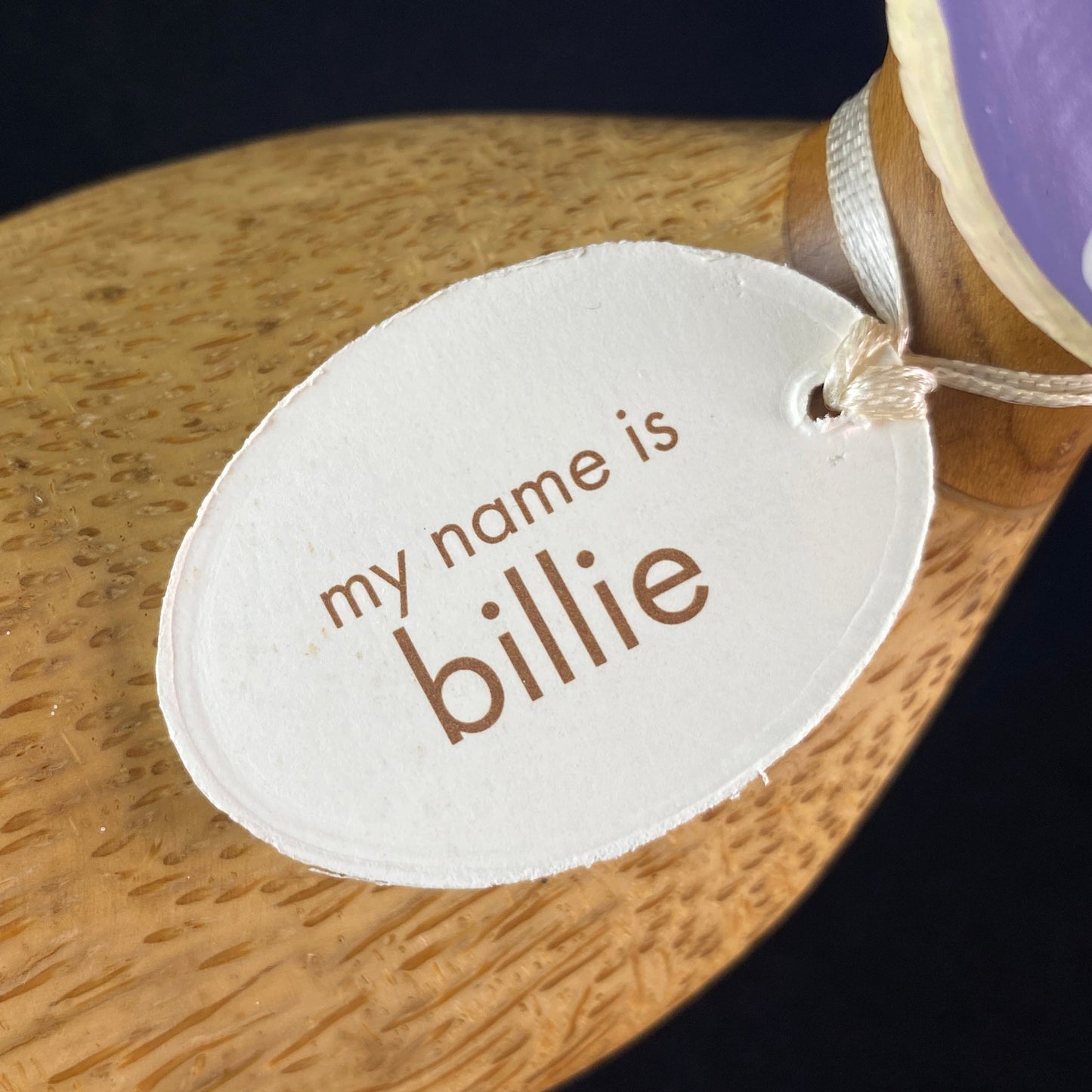 Billie - Hand-carved and Hand-painted Bamboo Duck