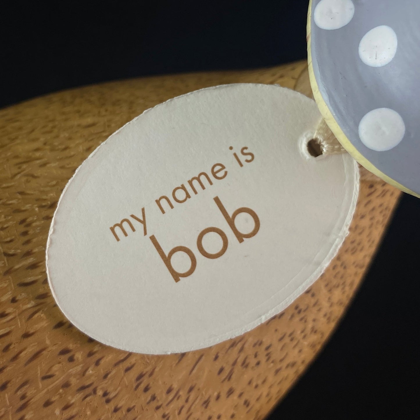 Bob - Hand-carved and Hand-painted Bamboo Duck with Mushroom