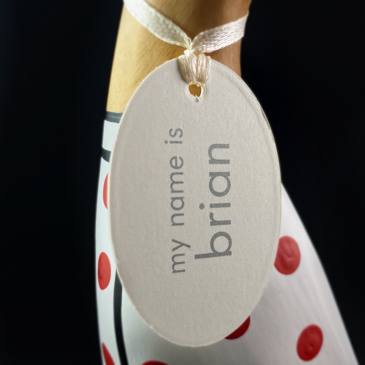 Brian - Bicycle/Biker Hand-carved and Hand-painted Bamboo Duck