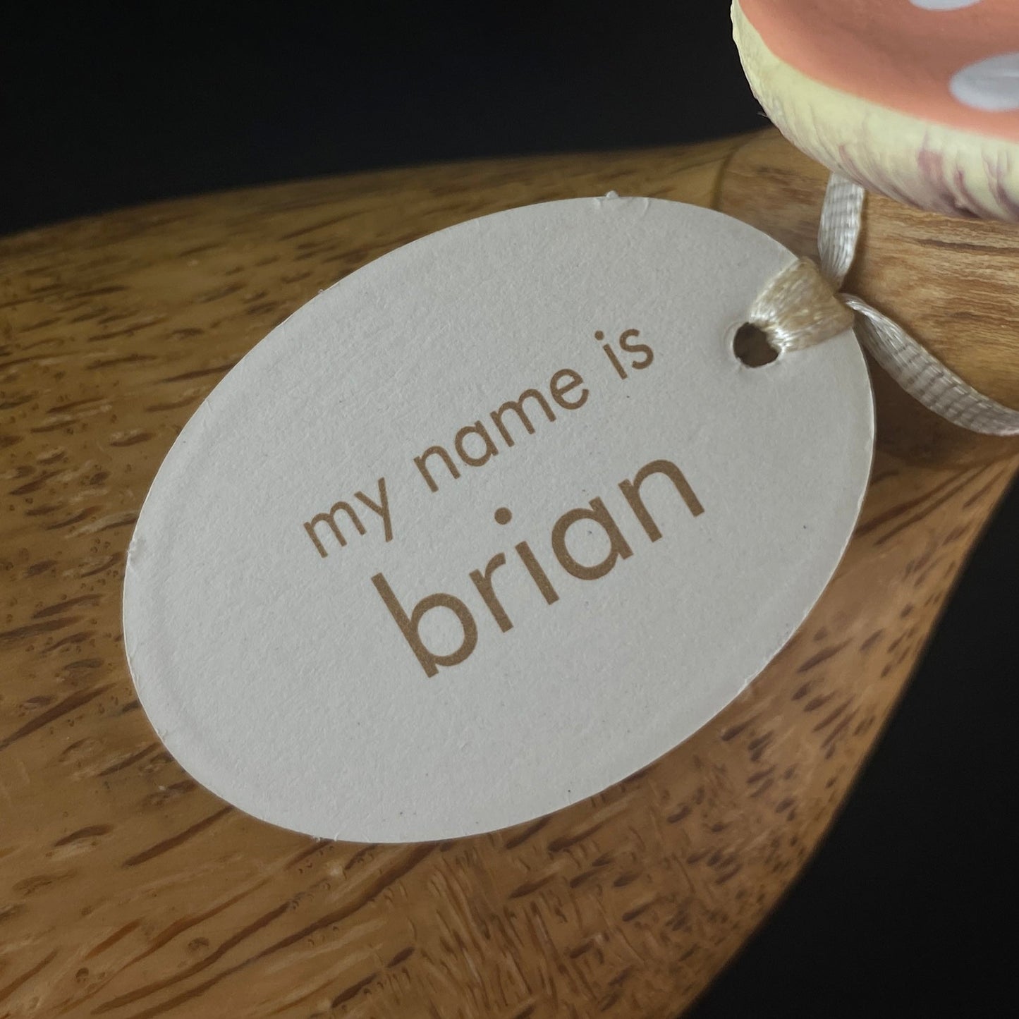 Brian - Hand-carved and Hand-painted Bamboo Duck