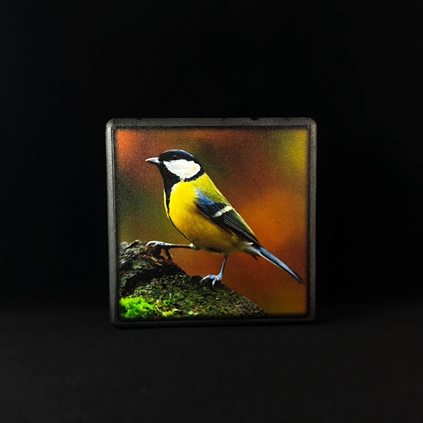 Finch and Moss, Art Block - Unique Home/Office Decor