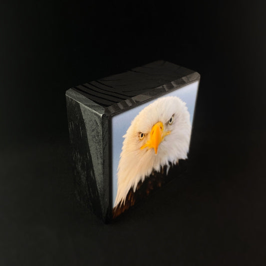 Focused Bald Eagle, Art Block - Unique Home/Office Decor