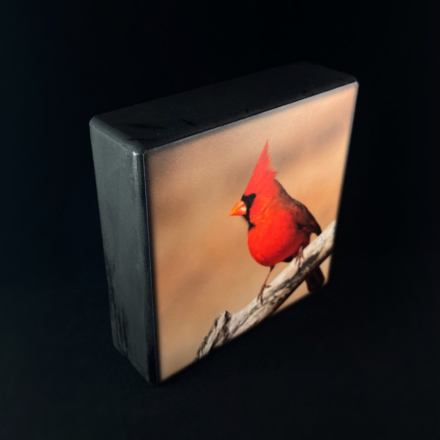 Focused Red Cardinal, Art Block - Unique Home/Office Decor