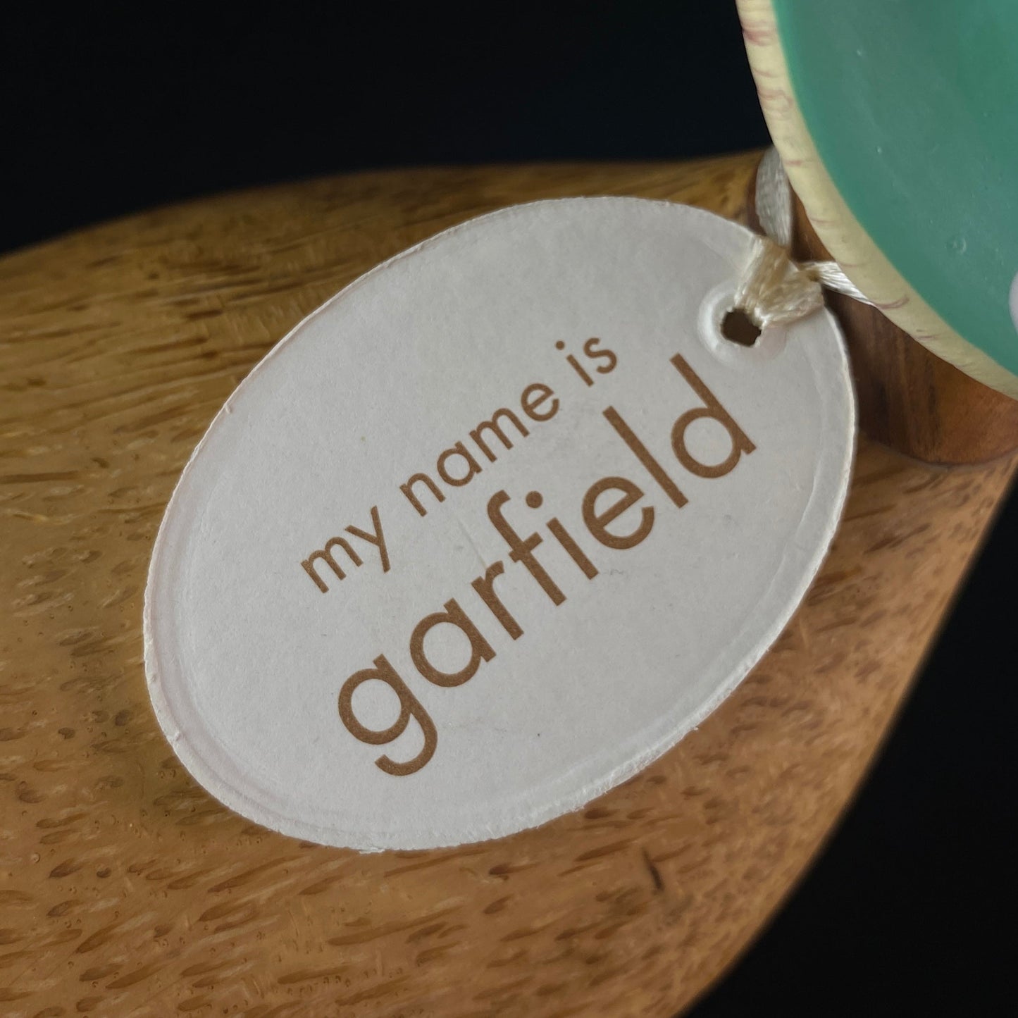 Garfield - Hand-carved and Hand-painted Bamboo Duck