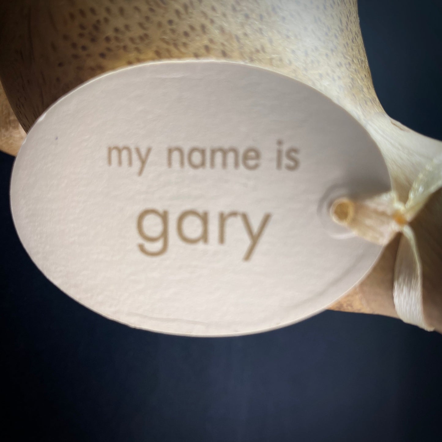 Gary - Hand-carved and Hand-painted Bamboo Duck