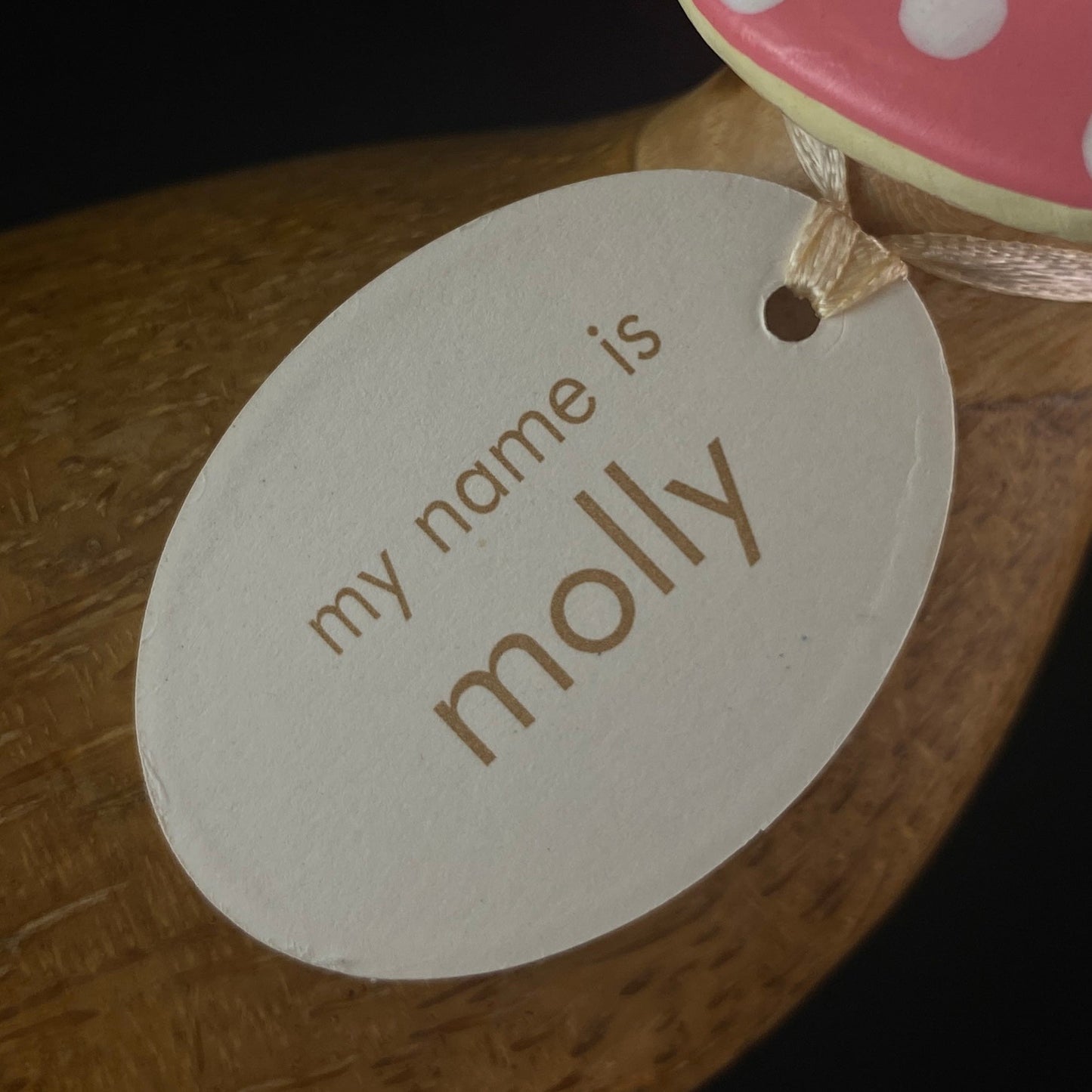 Molly - Hand-carved and Hand-painted Bamboo Duck