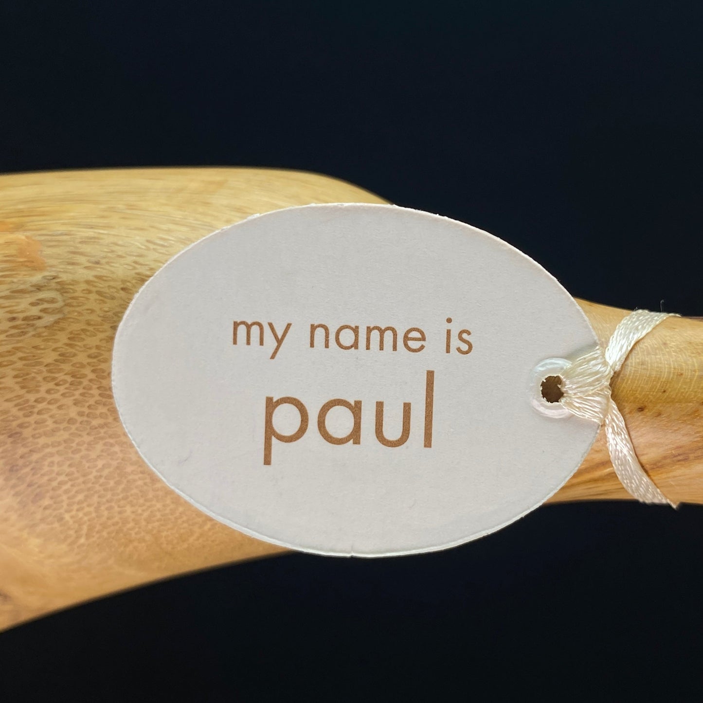 Paul - Hand-carved and Hand-painted Bamboo Duck with Polka