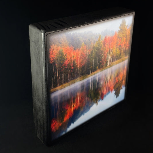 Reflective Fall Color, Art Block - Unique Home/Office Decor
