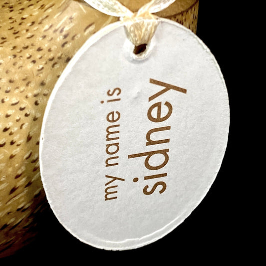 Sidney - Hand-carved and Hand-painted Bamboo Duck