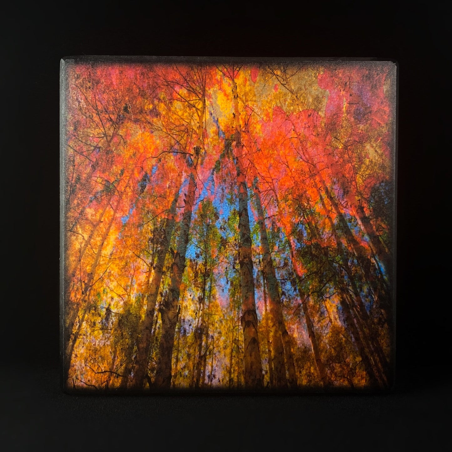 Vibrant Forest Canopy, Art Block, 7" - Unique Home/Office Decor