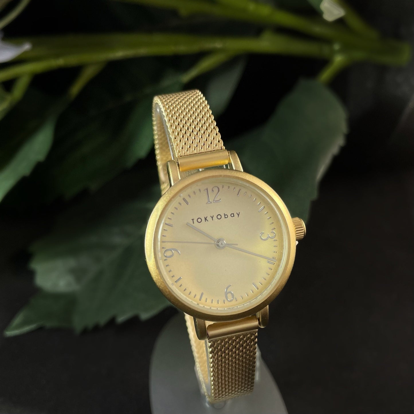 Women’s Watch, Skinny Gold Mesh Band - TOKYObay