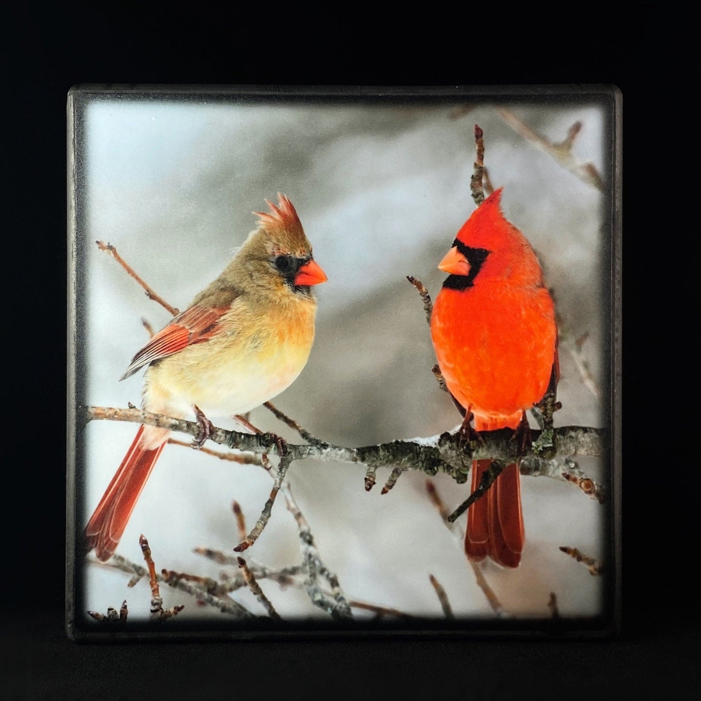 Cardinal Couple, Art Block - Unique Home/Office Decor