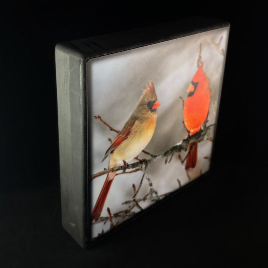 Cardinal Couple, Art Block - Unique Home/Office Decor