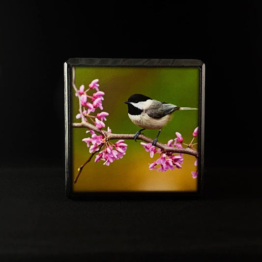 Chickadee on a Pink Floral Branch, Art Block - Unique Home/Office Decor