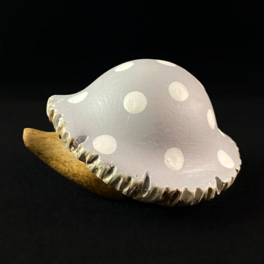 Gray Toadstool Hedgelet Baby Hedgehog - Hand-carved