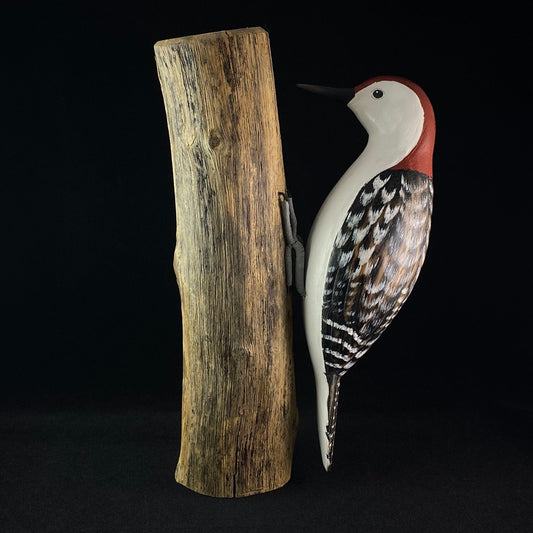 Handmade, Hand-painted Red Bellied Woodpecker