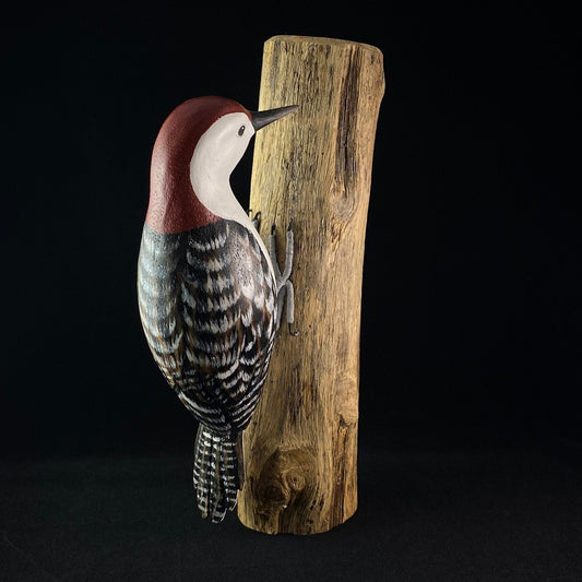 Handmade, Hand-painted Red Bellied Woodpecker
