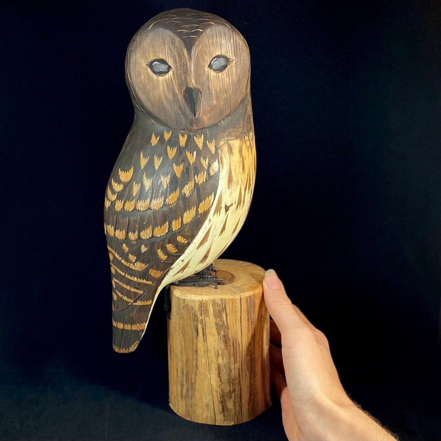 Handmade, Hand-painted Wooden Barred Owl