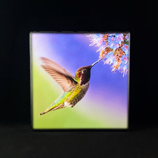 Hummingbird- Just a Sip, Art Block - Unique Home/Office Decor