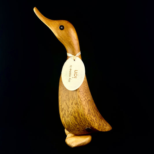 Ian- Hand-carved and Hand-painted Bamboo Duck