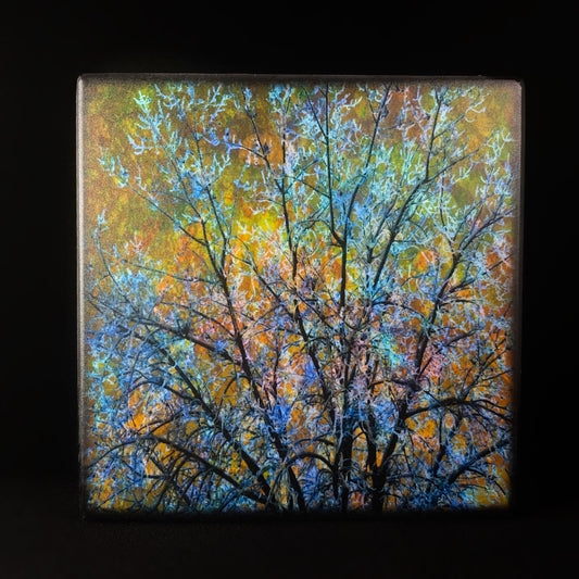 Icy Branches at Sunset, Art Block, 5" - Unique Home/Office Decor