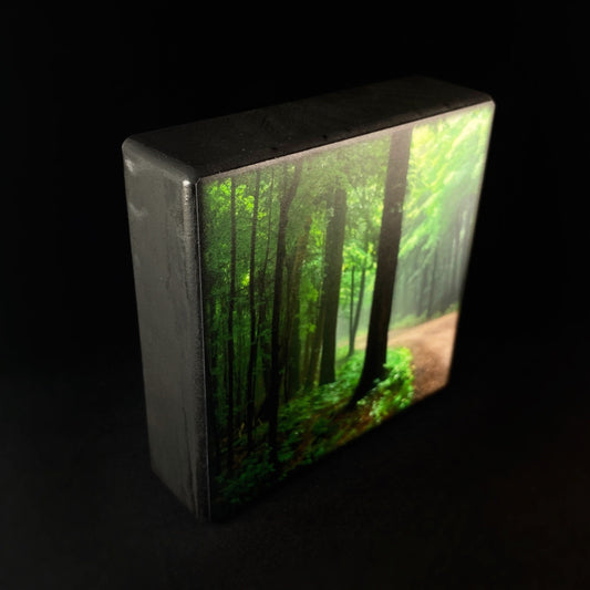 Lush Woods With Light Streaming Through, Art Block - Unique Home/Office Decor