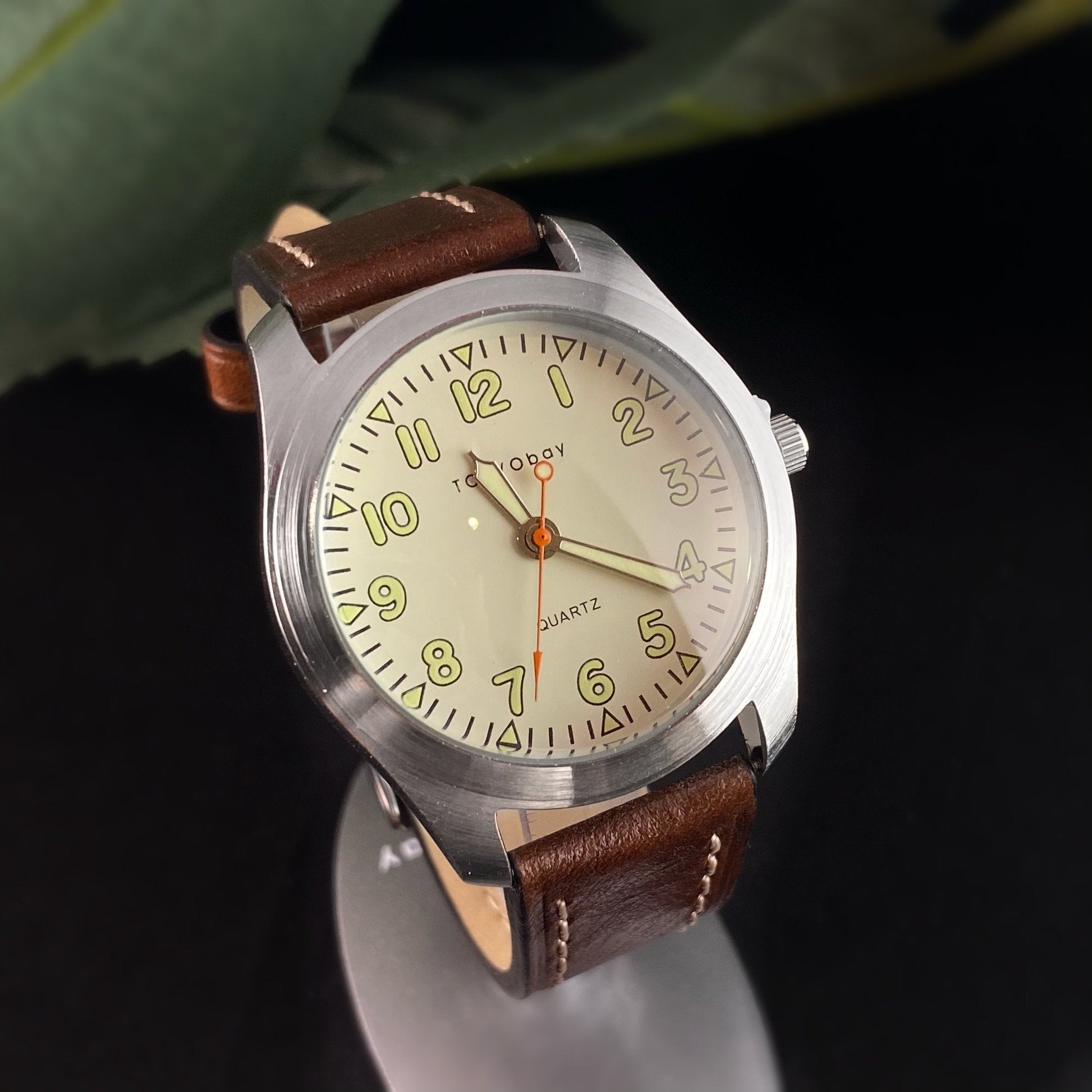 Men’s Watch, Brown Leather Band, Silver Case - TOKYObay