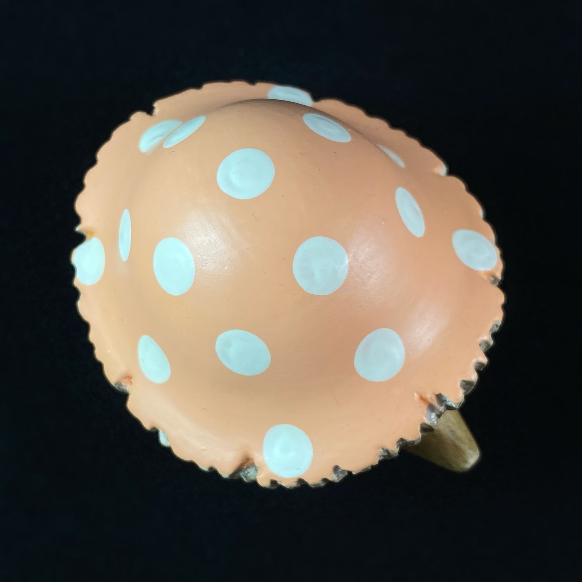 Orange Toadstool Hedgelet Baby Hedgehog - Hand-carved