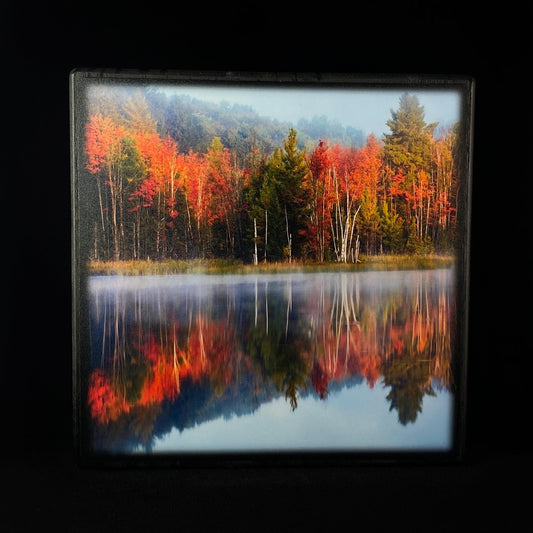 Reflective Fall Color, Art Block - Unique Home/Office Decor