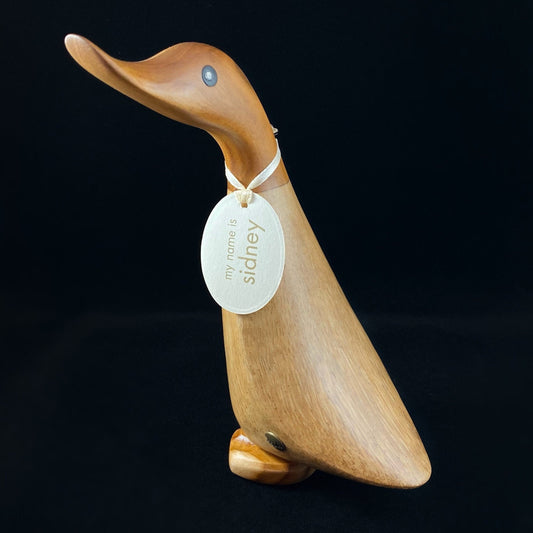 Sidney - Hand-carved and Hand-painted Bamboo Duck